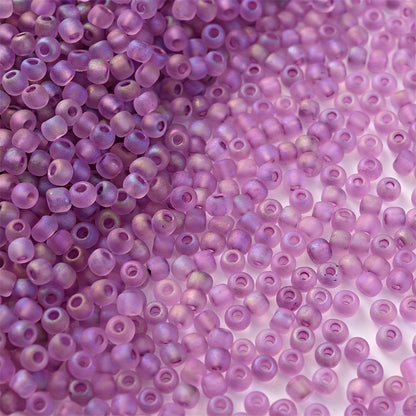 Colorful Frosted Seed Beads