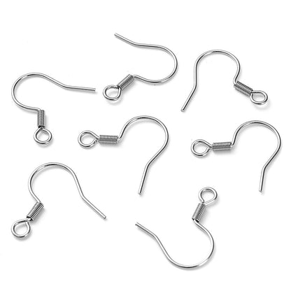 Stainless Steel Earring Hooks