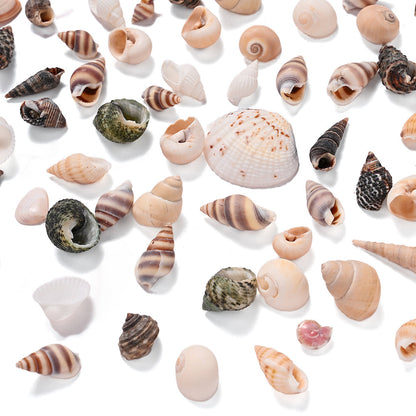 300g Mini Shell Conch Beads