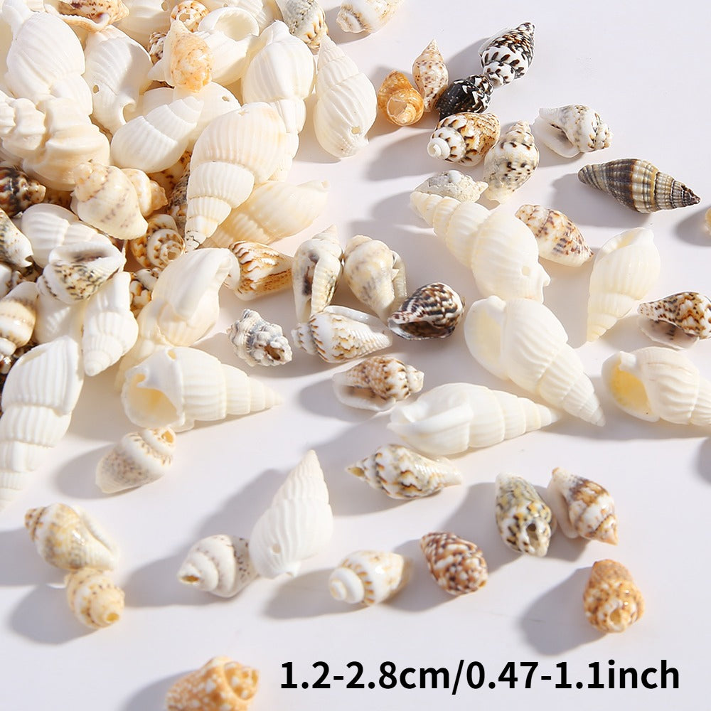 Natural Gold-Plated Conch Shell Pendants
