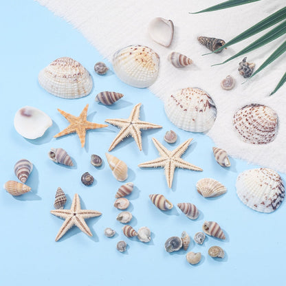 740-Piece Natural Mixed Mini Shell Beads
