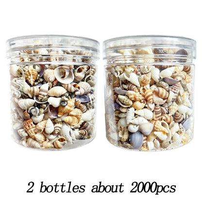 2 Bottles Mini Natural Shell Conch Beads Set