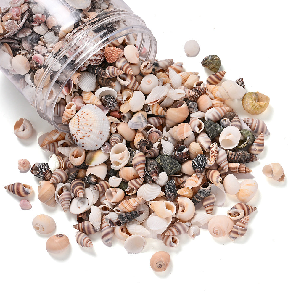 300g Mini Shell Conch Beads