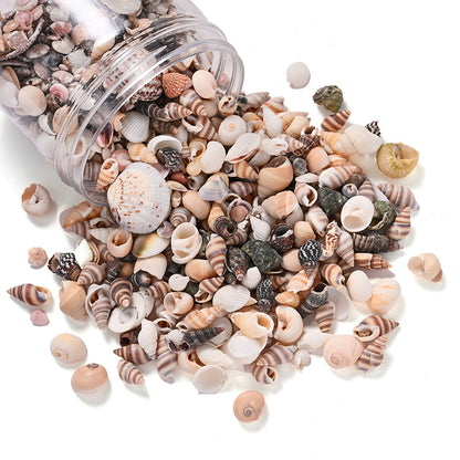 300g Mini Shell Conch Beads