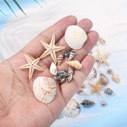 740-Piece Natural Mixed Mini Shell Beads