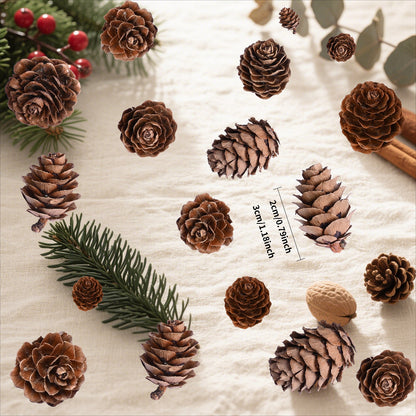 70-Piece 2-3 cm Natural Pine Cone Decorations