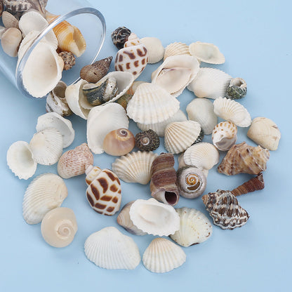200pcs Tiny Artificial Sea Shells Beads