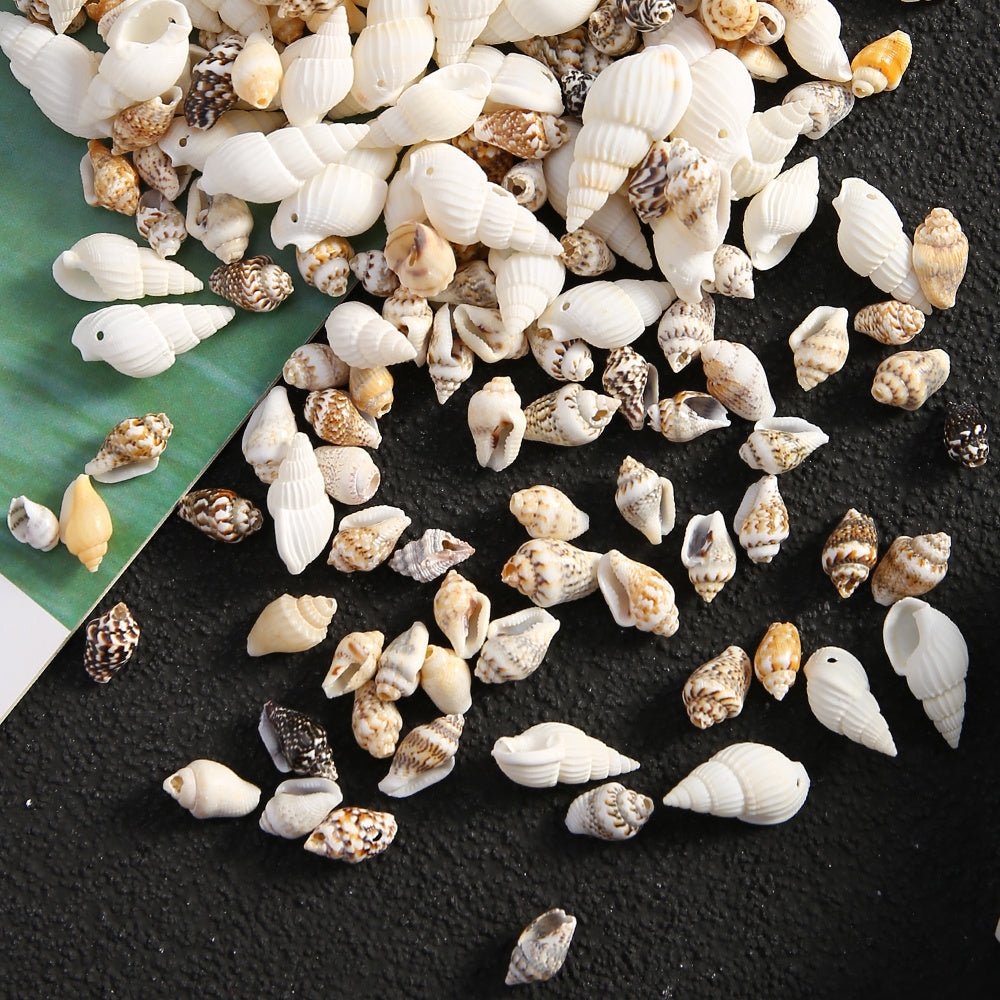 Natural Gold-Plated Conch Shell Pendants