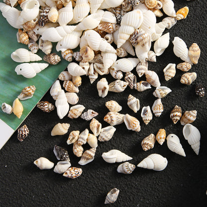 Natural Gold-Plated Conch Shell Pendants