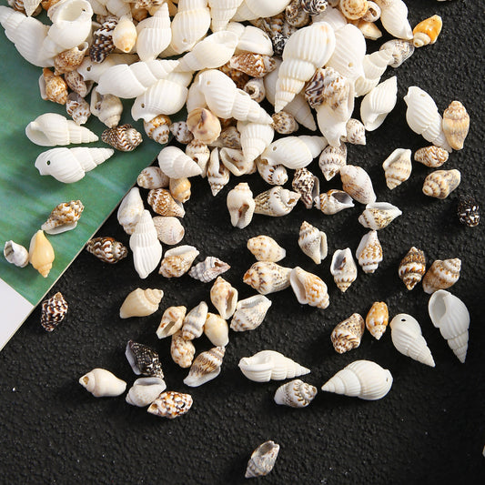 Natural Gold-Plated Conch Shell Pendants