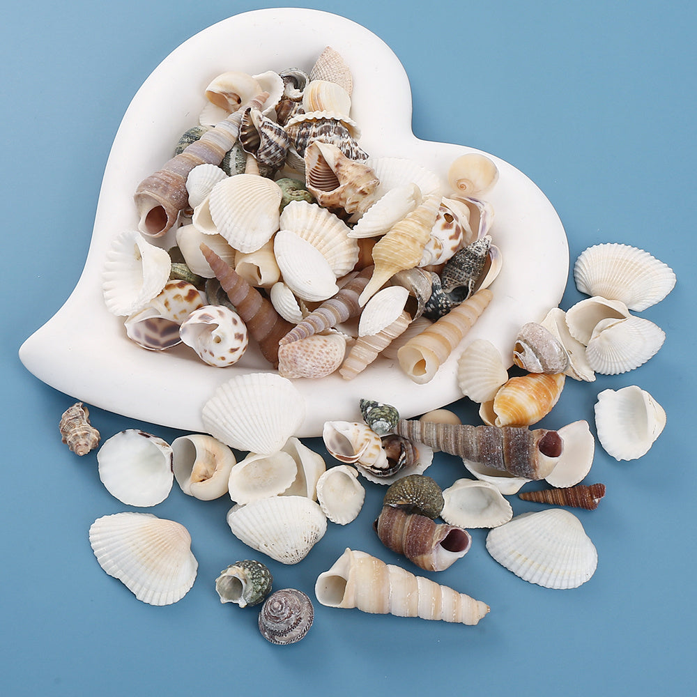 200pcs Tiny Artificial Sea Shells Beads