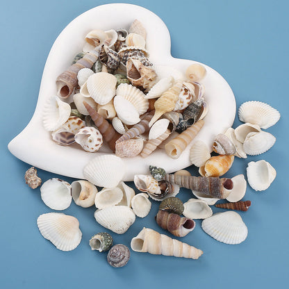 200pcs Tiny Artificial Sea Shells Beads