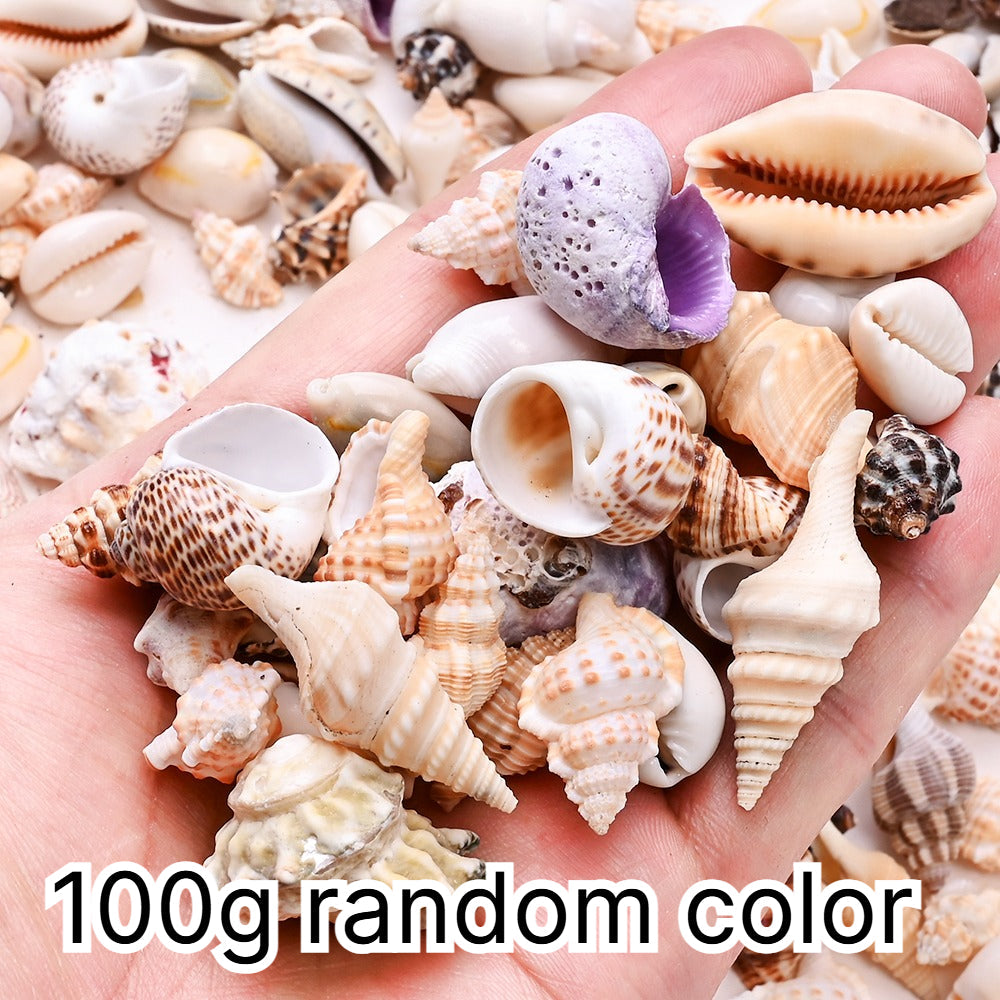 100g/Box Mixed Decorative Shell Set