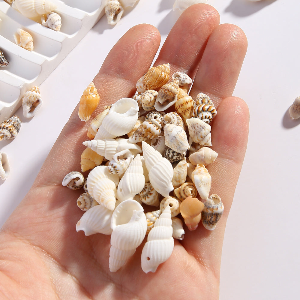 Natural Gold-Plated Conch Shell Pendants