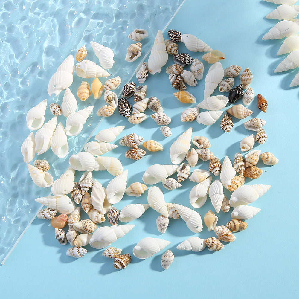 Natural Gold-Plated Conch Shell Pendants