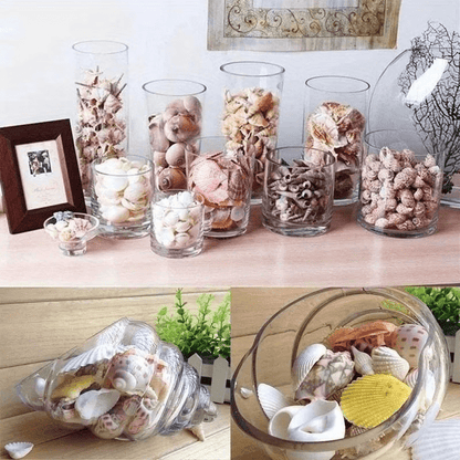 200pcs Tiny Artificial Sea Shells Beads