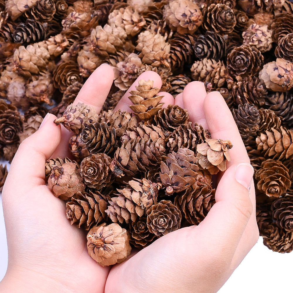 70-Piece 2-3 cm Natural Pine Cone Decorations