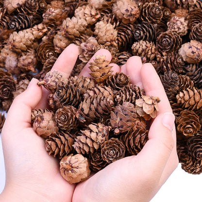 70-Piece 2-3 cm Natural Pine Cone Decorations