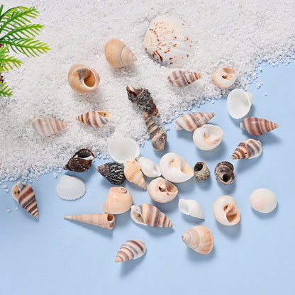 300g Mini Shell Conch Beads