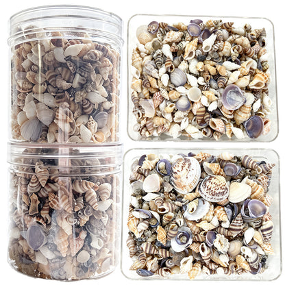 2 Bottles Mini Natural Shell Conch Beads Set