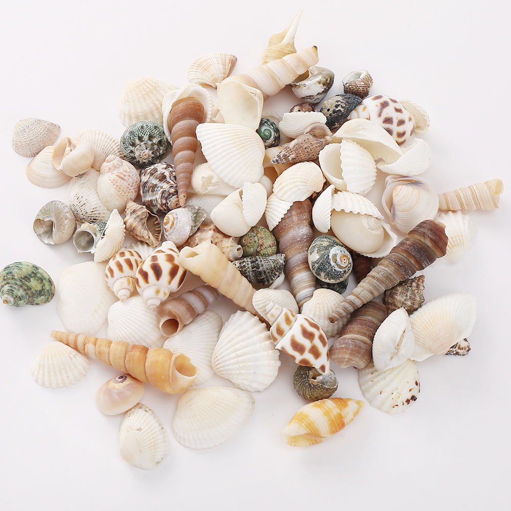 200pcs Tiny Artificial Sea Shells Beads