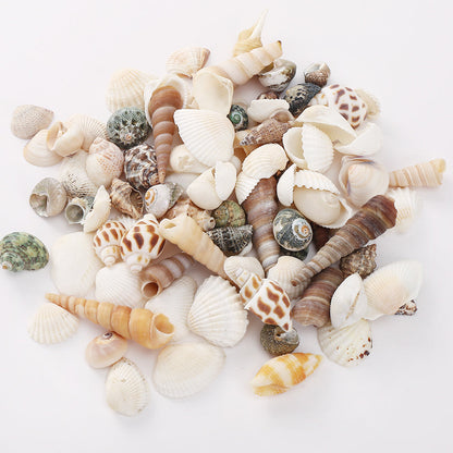 200pcs Tiny Artificial Sea Shells Beads