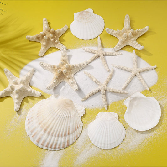 Natural Seashell and Starfish Mix