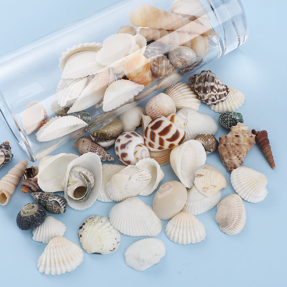 200pcs Tiny Artificial Sea Shells Beads