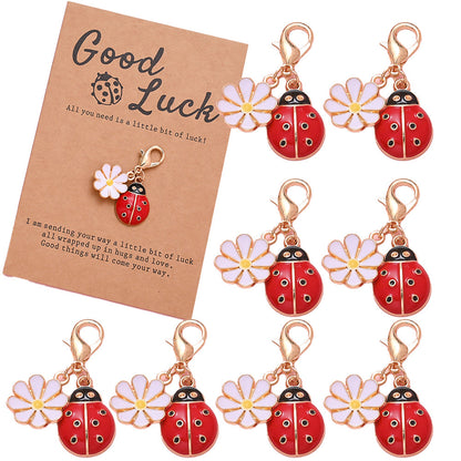 Ladybug Wish Card Keychains