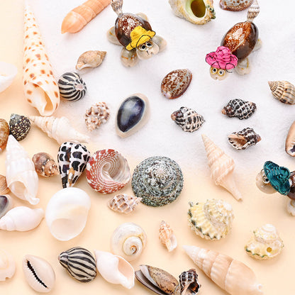 100g/Box Mixed Decorative Shell Set