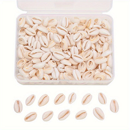 Natural Shell Beads, 100 g/Box, Approx. 200 pcs