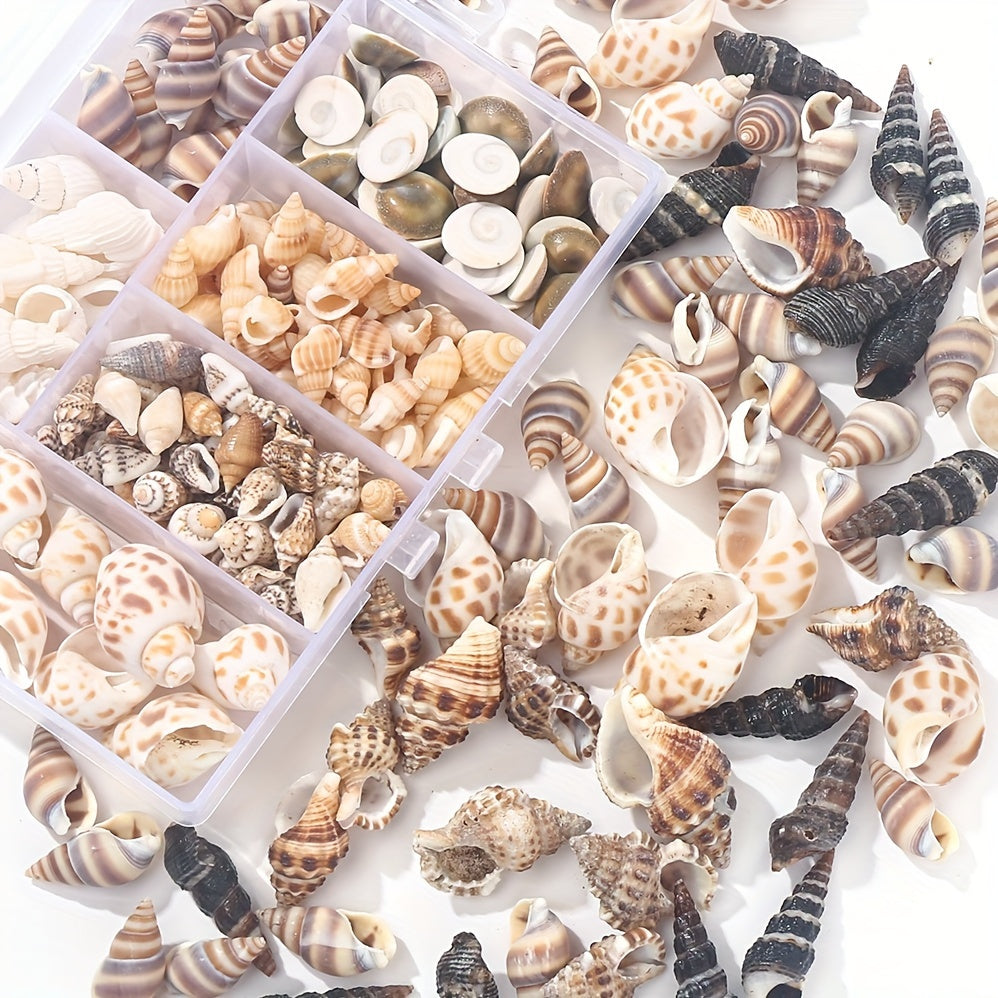 160pcs Natural Seashell Conch Beads Set
