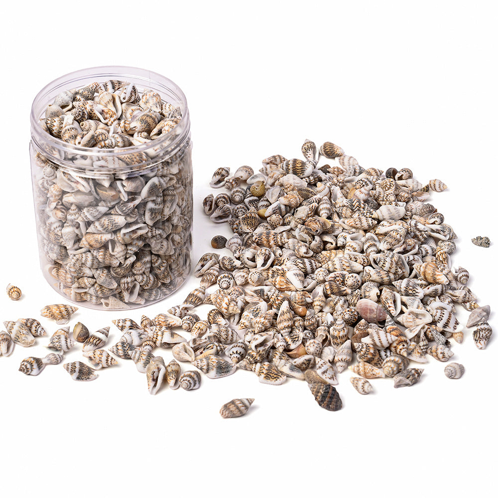 150G Ocean Theme Shell & Conch Bead Set
