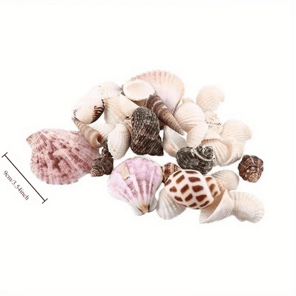 200pcs Tiny Artificial Sea Shells Beads