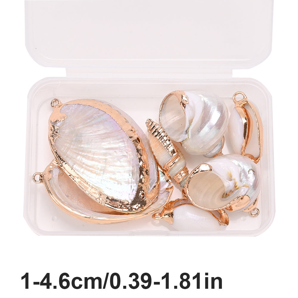 8-Piece Mixed Natural Shell Conch Charms with Gold Edges