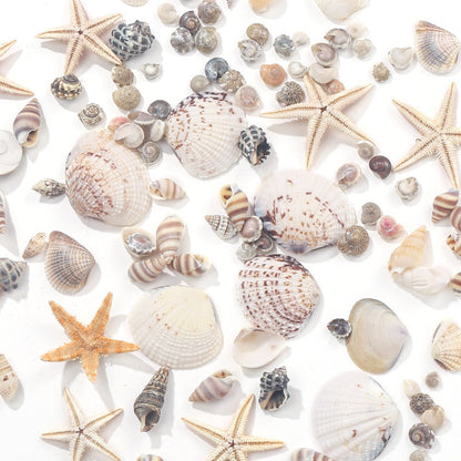 740-Piece Natural Mixed Mini Shell Beads