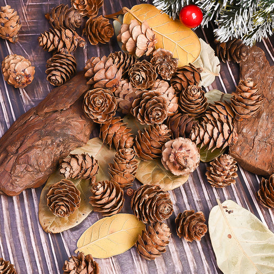 70-Piece 2-3 cm Natural Pine Cone Decorations