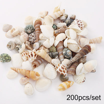 200pcs Tiny Artificial Sea Shells Beads