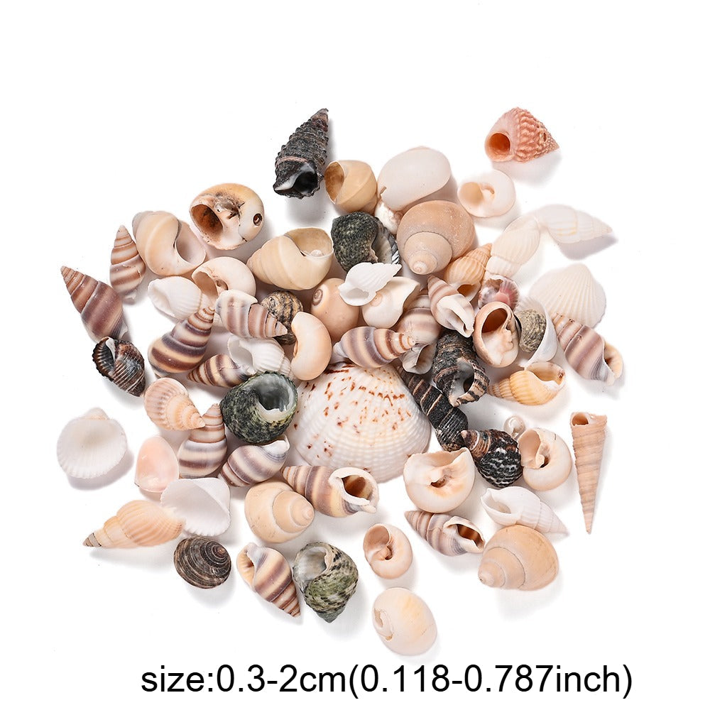 300g Mini Shell Conch Beads