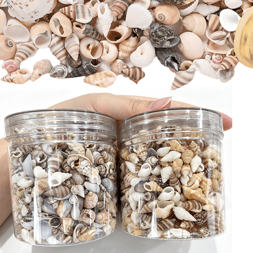 2 Bottles Mini Natural Shell Conch Beads Set