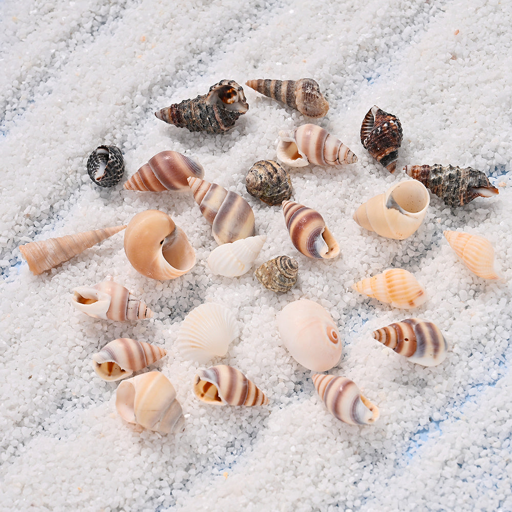 300g Mini Shell Conch Beads